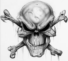 Immagine profilo di skull-00
